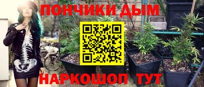 прущие крисы Кингисепп