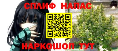 прущие крисы Кингисепп