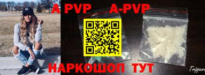 прущие крисы Кингисепп