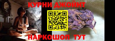 прущие крисы Кингисепп